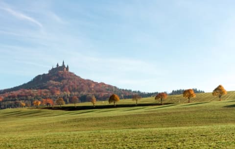 Hohenzollern perched above the trees.