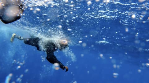 Paul de Gelder appears in Shark Week 2019.