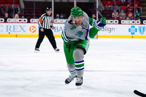 Carolina Hurricanes defenseman Dougie Hamilton (19). Mandatory Credit: James Guillory-USA TODAY Sports