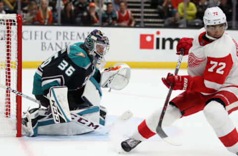 ANAHEIM, CA – OCTOBER 08: John Gibson #36 of the Anaheim Ducks tends goal during the third period of a game against the Detroit Red Wings at Honda Center on October 8, 2018, in Anaheim, California. (Photo by Sean M. Haffey/Getty Images)