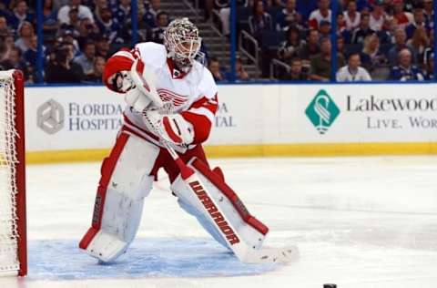 Apr 13, 2016; Tampa, FL, USA; Detroit Red Wings goalie Jimmy Howard (35) during the first period in game one of the first round of the 2016 Stanley Cup Playoffs at Amalie Arena. Mandatory Credit: Kim Klement-USA TODAY Sports