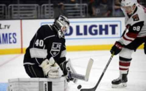 LA Kings (Mandatory Credit: Gary A. Vasquez-USA TODAY Sports)