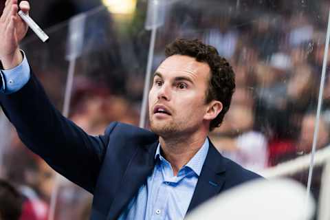 TURKU, FINLAND – SEPTEMBER 02: Filip Pesan head coach of Liberec during the Champions Hockey League match between TPS Turku and Bili Tygri Liberec at HK Areena on September 2, 2016 in Turku, Finland. (Photo by TPS Turku/Champions Hockey League via Getty Images)