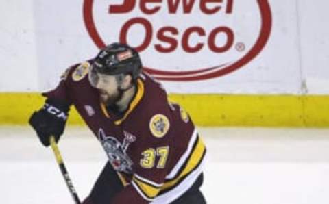 ROSEMONT, ILLINOIS – JUNE 08: Zac Leslie #37 of the Chicago Wolves shoots against the Charlotte Checkers during game Five of the Calder Cup Finals at Allstate Arena on June 08, 2019 in Rosemont, Illinois. The Checkers defeated the Wolves 5-3 to win the Calder Cup. (Photo by Jonathan Daniel/Getty Images)