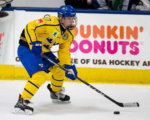 Jonatan Berggren #17 (Photo by Dave Reginek/Getty Images)