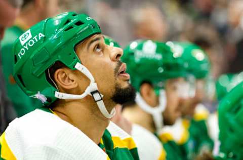 Ryan Reaves #75, Minnesota Wild (Photo by David Berding/Getty Images)