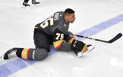 LAS VEGAS, NV – MARCH 23: Ryan Reaves #75 of the Vegas Golden Knights warms up prior to a game against the Detroit Red Wings at T-Mobile Arena on March 23, 2019 in Las Vegas, Nevada. (Photo by David Becker/NHLI via Getty Images)