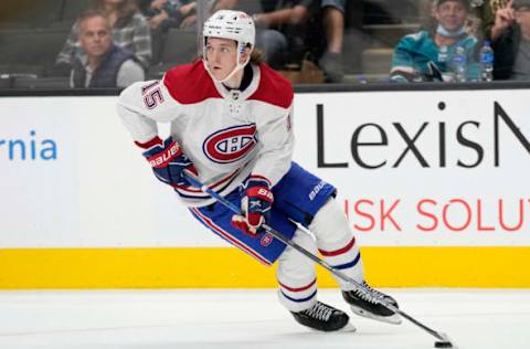 Montreal Canadiens (Photo by Thearon W. Henderson/Getty Images)