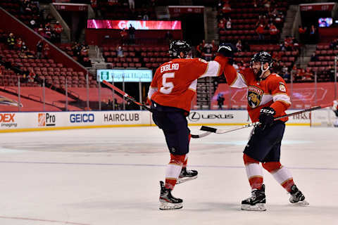 Florida Panthers defenseman Aaron Ekblad (5). Mandatory Credit: Jasen Vinlove-USA TODAY Sports