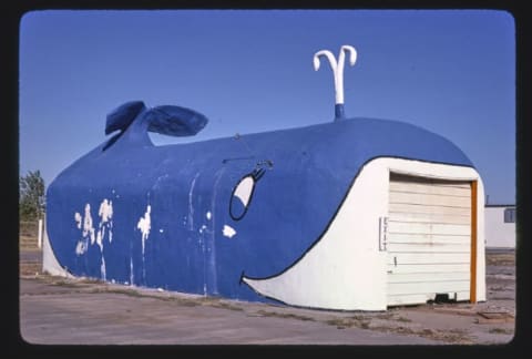 The Whale Car Wash, Oklahoma City, Oklahoma, 1980.