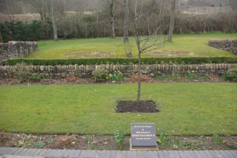 The tree planted by Queen Elizabeth II in the memorial garden.