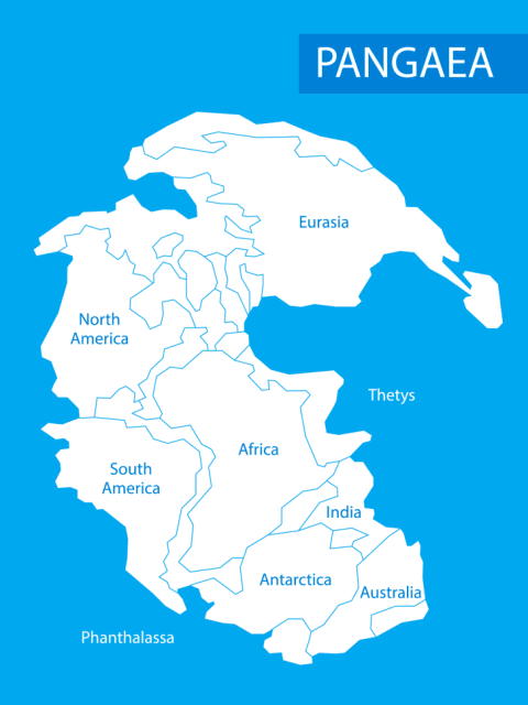 Greater Adria would've been roughly between Africa and Eurasia.