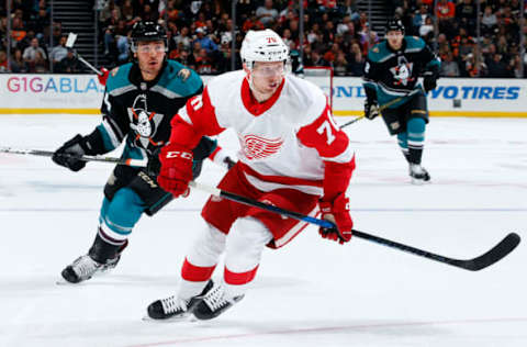 ANAHEIM, CA – OCTOBER 8: Christoffer Ehn #70 of the Detroit Red Wings and Kiefer Sherwood #64 of the Anaheim Ducks skate during the game on October 8, 2018, at Honda Center in Anaheim, California. (Photo by Debora Robinson/NHLI via Getty Images)