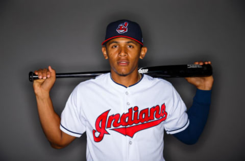 Feb 24, 2017; Goodyear, AZ, USA; Cleveland Indians second baseman Erik Gonzalez poses for a portrait during photo day at Goodyear Ballpark. Mandatory Credit: Mark J. Rebilas-USA TODAY Sports