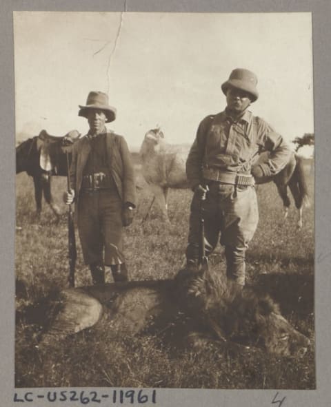 Roosevelt (right) and Leslie Tarleton (left) on safari in 1909.