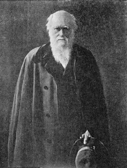 A portrait of scientist Charles Darwin from the 1880s.