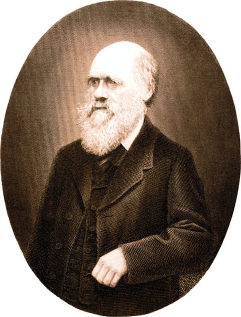 A copper engraving of Charles Darwin from a fourth edition German translation of 'The Origin of Species'