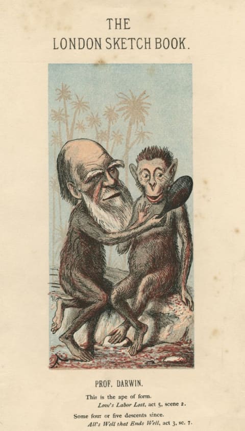 Charles Darwin's theories were (and, in some cases, still are) the source of controversy and mockery.