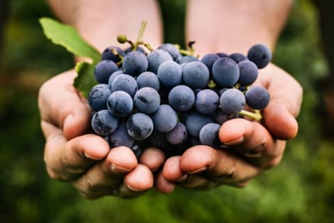 In Spain, New Year's Eve traditions involve eating grapes.