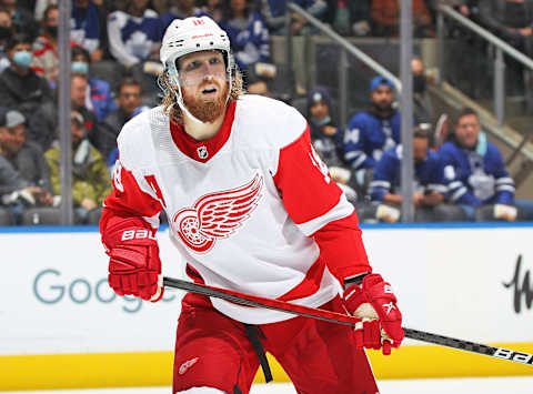 TORONTO, ON – OCTOBER 30: Marc Staal #18 of the Detroit Red Wings skates against the Toronto Maple Leafs . (Photo by Claus Andersen/Getty Images)