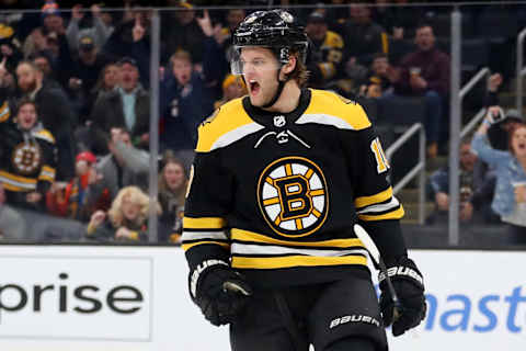 Anders Bjork #10 of the Boston Bruins. (Photo by Maddie Meyer/Getty Images)