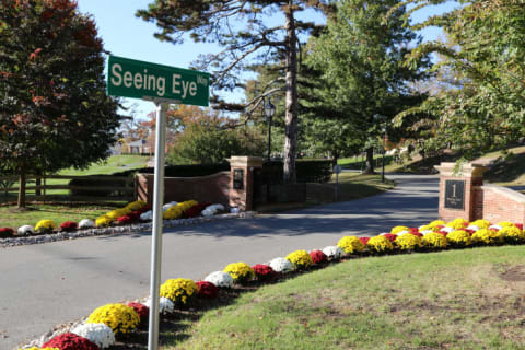 A photo of The Seeing Eye campus in Morristown, New Jersey.