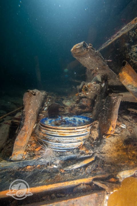 Divers found dishes in the steward's pantry at the HMS Erebus shipwreck.