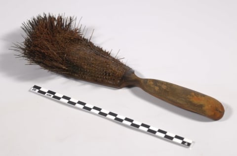 A hairbrush discovered at the HMS Erebus shipwreck still had a few human hairs in the bristles.