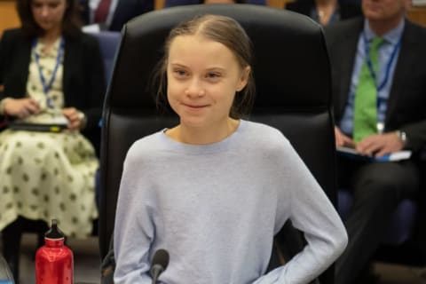 Greta Thunberg is one of the most high-profile environmental activists at just 17 years old.