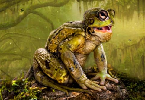 The Loveland Frog is one of Ohio's trademark cryptids.