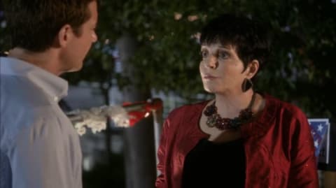 Liza Minnelli as "Lucille Two" opposite Jason Bateman's Michael Bluth in season 4 of Arrested Development.