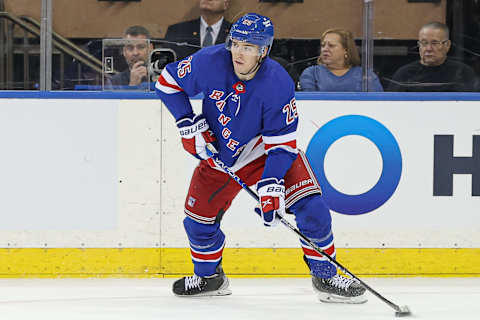 Dec 5, 2022; New York, New York, USA; New York Rangers defenseman Libor Hajek (25  Vincent Carchietta-USA TODAY Sports