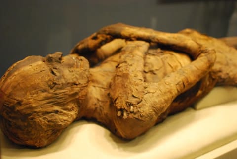 DNA tests from mummies have revealed family relationships—and even evidence of crime.