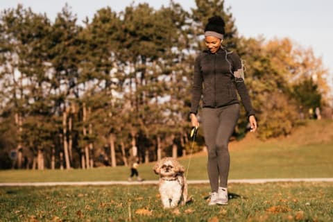 Continuing aspects of your usual routine, like walking your dog in the park, is a good way to maintain some normalcy.