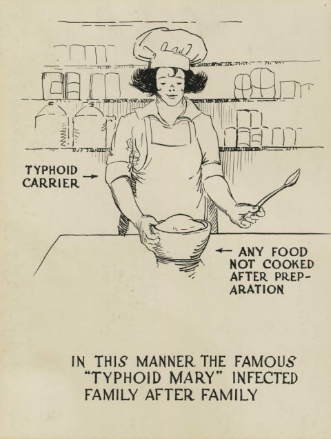 An illustration of unknown origin showing how Typhoid Mary spread bacteria through food.