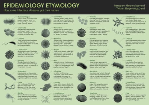 Unsurprisingly, there's a lot of Latin in this infographic.