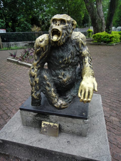 A Statue of Macaco Tião in the Zoological Garden of Rio de Janeiro.