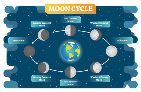 The Moon, Earth's biggest curveball.