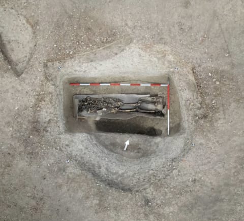 Skeleton of high-status person in lead-lined coffin.