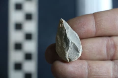 Stone tool found below the Last Glacial Maximum layer.