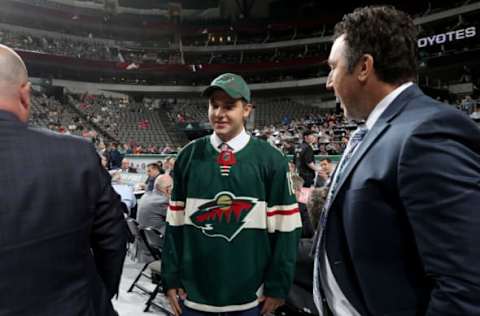 Minnesota Wild, Alexander Khovanov, (Photo by Bruce Bennett/Getty Images)