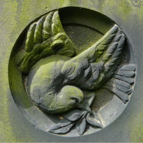 Doves appear in a variety of poses on tombstones.