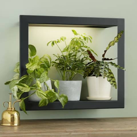 Growlight Frame Shelf