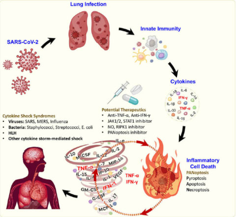 COVID-19 can prompt a "cytokine storm" that can cause severe symptoms.