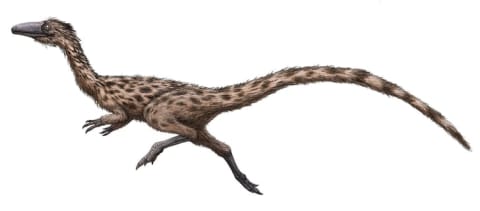 An artist's rendering of the Podokesaurus holyokensis.