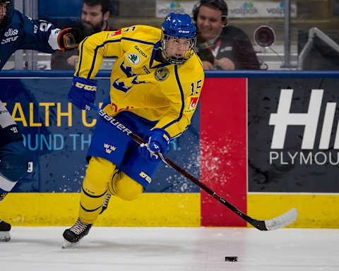 Filip Hallander #15 of the Sweden Nationals (Photo by Dave Reginek/Getty Images)