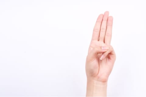 Girl Scouts use a special hand sign for the Girl Scout Promise.