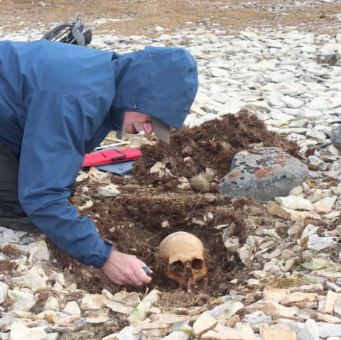 Douglas Stenton excavating the skull of a still-unknown sailor discovered near John Gregory's remains.