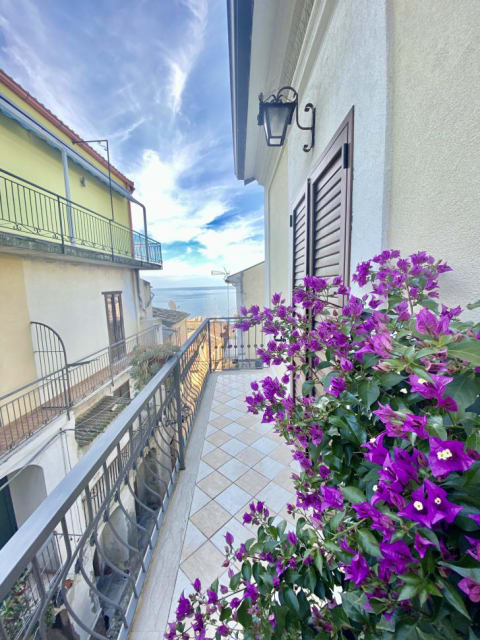 Balcony view, flowers included.