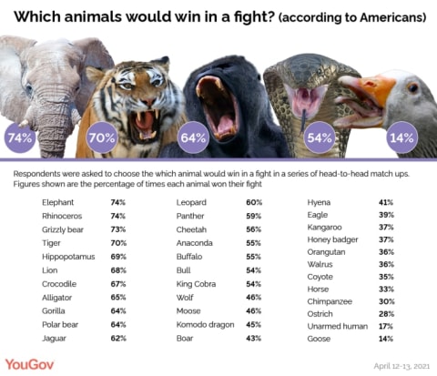 People apparently have just a touch more faith in crocodiles than alligators.